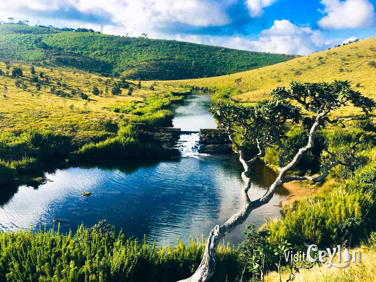Horton Plains