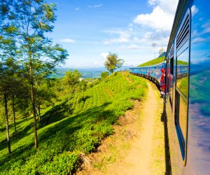 Train-through-Nuwara-Eliya-tea-plantations--Sri-Lanka-Tours--On-The-Go-Tours-347491495547421