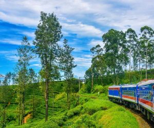 nuwaraeliya-srilanka